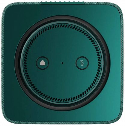 Яндекс Станция Макс с Zigbee Зеленая